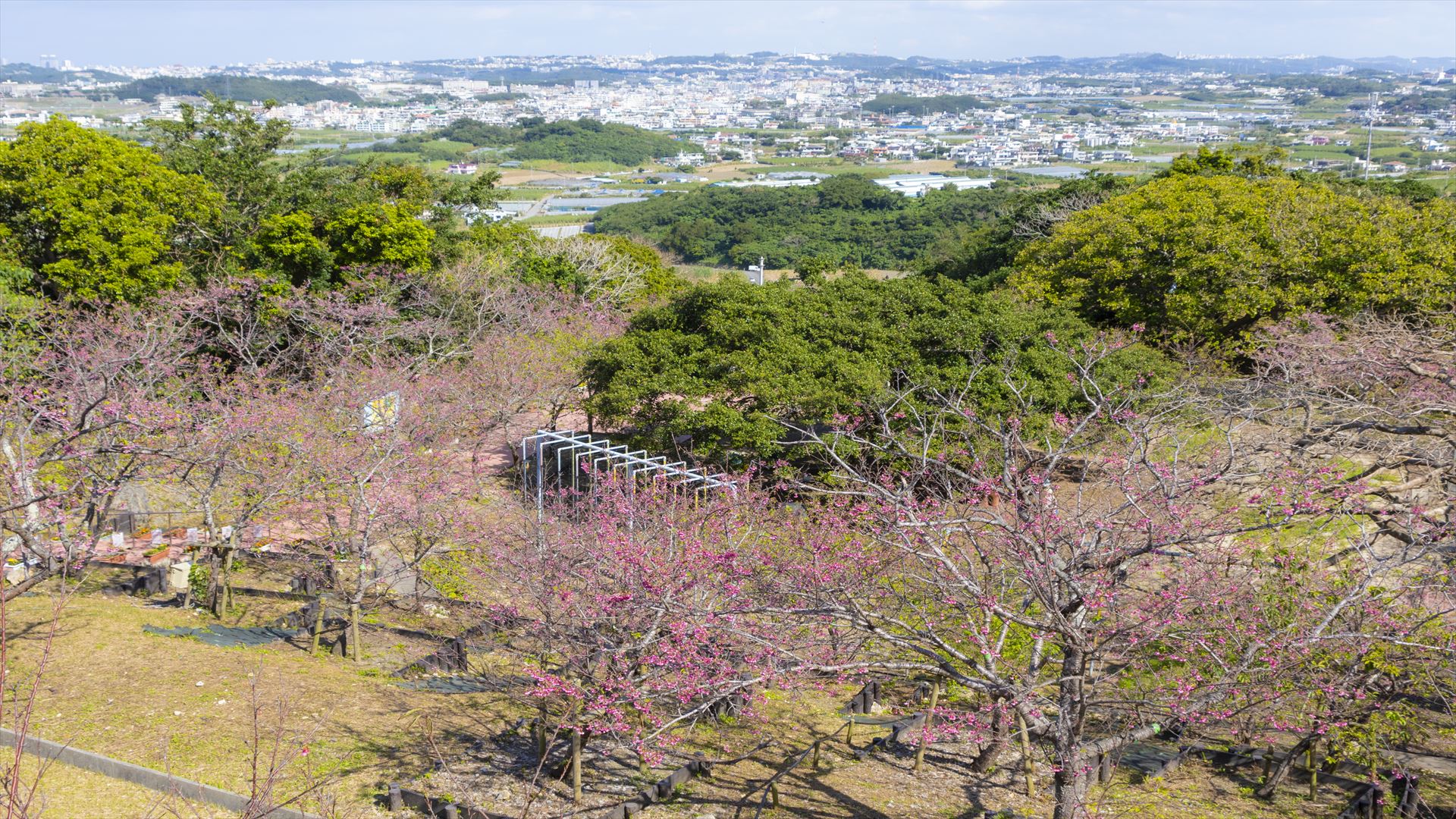 沖縄県南城市の大自然